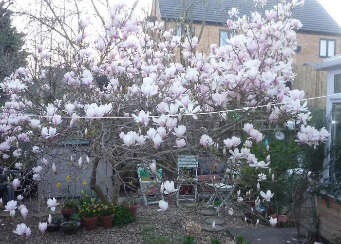 The Little Annexe